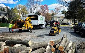 Best Commercial Tree Services  in Clara City, MN